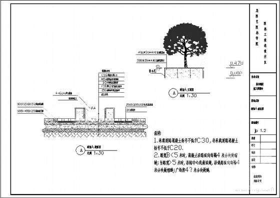 校区图纸书馆前小广场CAD施工图纸（学生课程设计）.dwg - 3