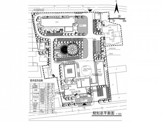 11层高层中医院建筑施工CAD图纸(总平面图) - 3