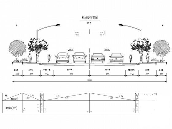 城市次干道大样图 - 1