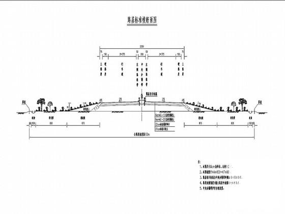 城市主干路大样图 - 1