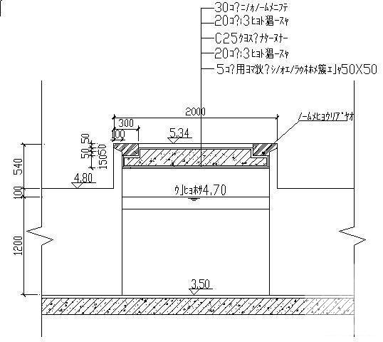 景观桥施工图 - 2