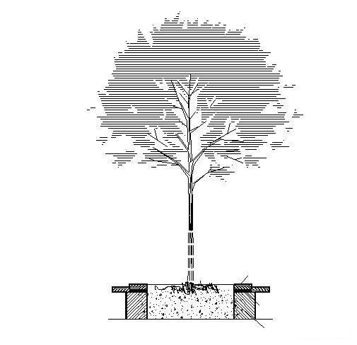 树池施工大样图 - 1