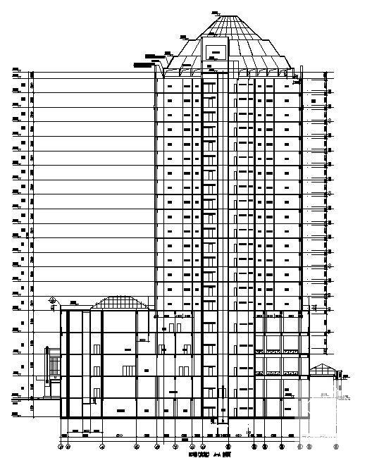 国际20层商城建筑施工CAD图纸 - 2
