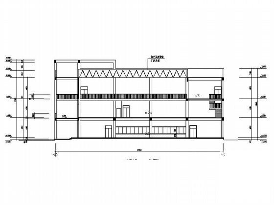 星光学校3层学生食堂、体育馆建筑初步图纸(屋顶构架平面图) - 2