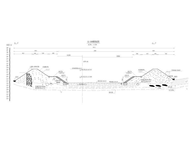 K1+300横断面图