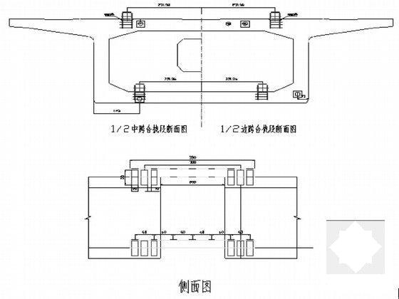 特大桥跨河连续梁专项施工方案92页(灌注桩基础) - 5