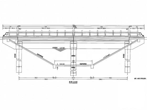 2×13m梁板桥预应力梁板桥CAD施工图纸(钢筋构造图) - 1