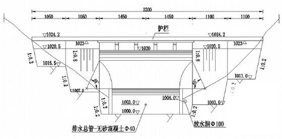 混凝土重力坝施工节点详细设计CAD图纸 - 2