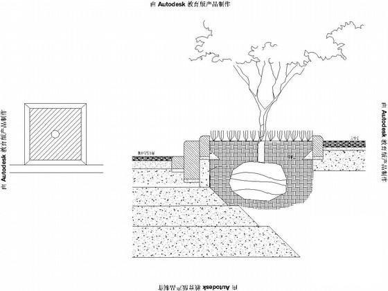 20m宽城市支路景观工程设计CAD图纸 - 1