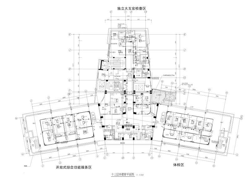 十三层冷媒管平面图