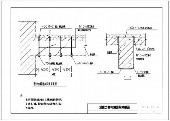 预应力螺杆加固梁斜截面节点构造详图纸cad - 1