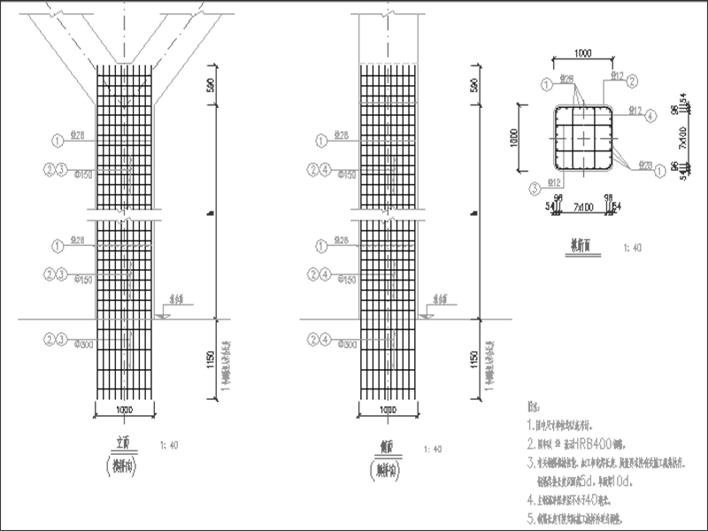 墩柱（直）钢筋图