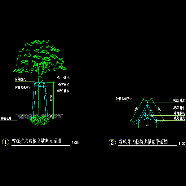 常绿乔木栽植支撑架示意CAD图纸 - 1