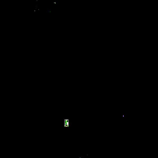 宾馆庭院种植设计11.12.dwg