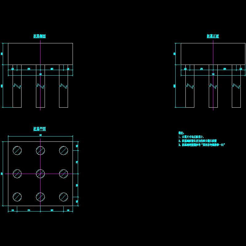 2006-2-8桩基钢筋7~修改.dwg