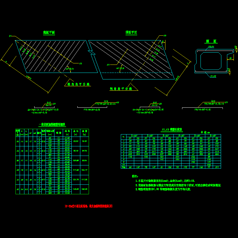 10～20m 边板(悬臂25cm）锐角、钝角加强钢筋.dwg