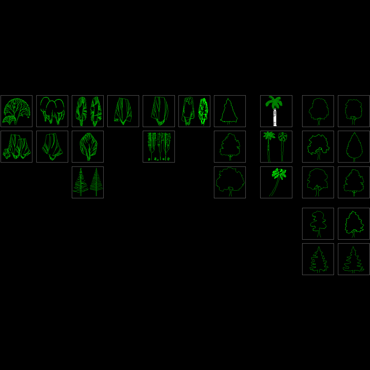 植物立面zxx.dwg