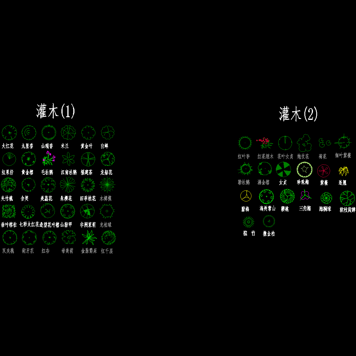 3-园林树木平面图-灌木.dwg