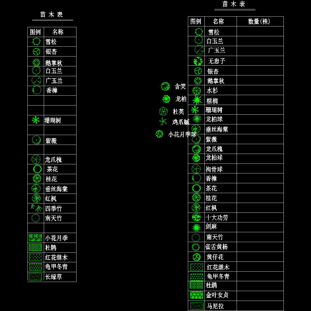 植物图库苗木表.dwg